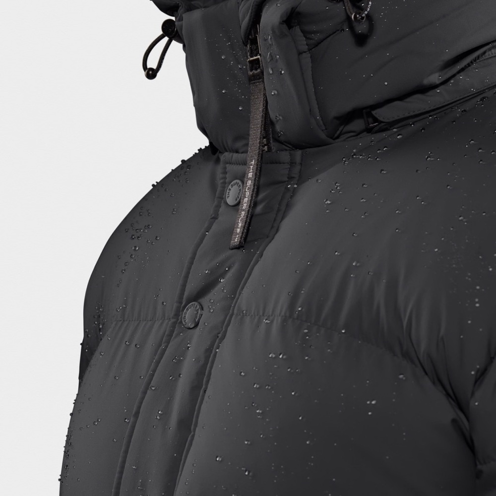 Aritzia Super Puff Long Climatte 2021 Model
